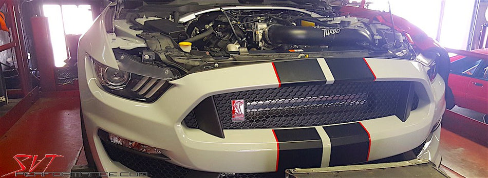 2016-2020 Mustang GT350 Eliminator Top Mount Twin Turbo System