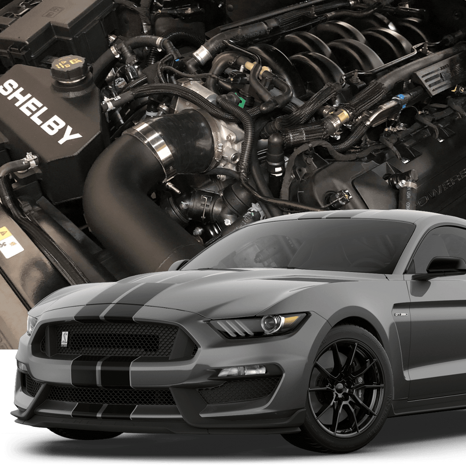 2016-2020 Mustang GT350 Sleeper Twin Turbo System