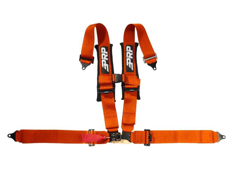 Photo - Close Up