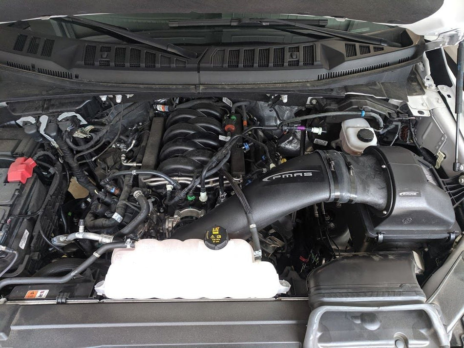 PMAS Air Intake System 15+ F150 – No Tune Required