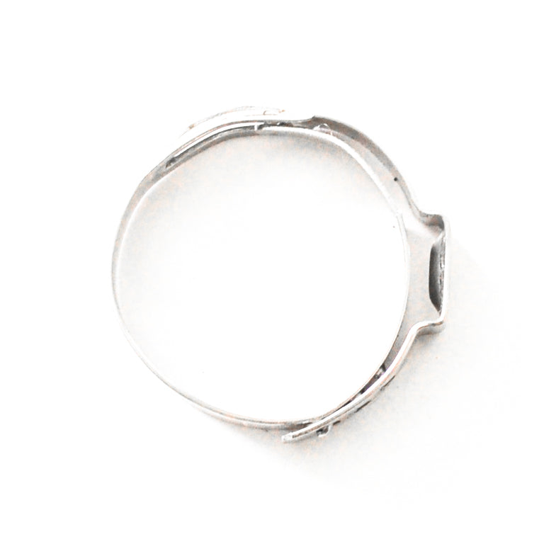 Stainless Safety Clamps -04