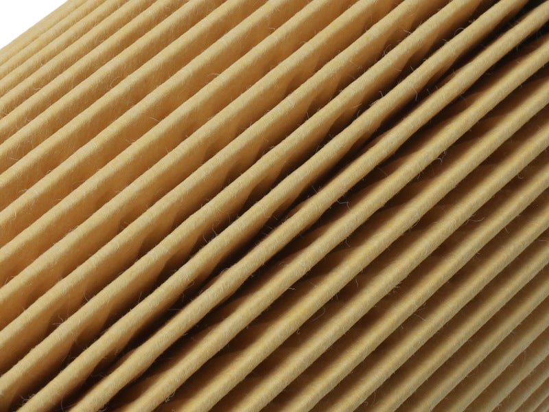 aFe ProGuard D2 Fluid Filters Oil F/F OIL BMW Gas Cars 96 - 06 L6 - CPC Performance