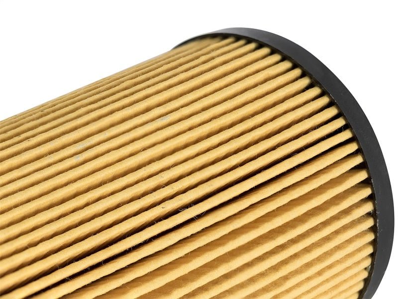 aFe ProGuard D2 Fluid Filters Oil F/F OIL Ford Diesel Trucks 03-10 V8-6.0/6.4L (td) - CPC Performance